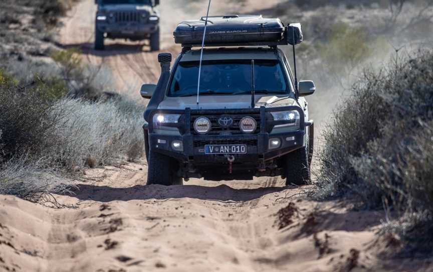 Dingo Trax, Marree, SA