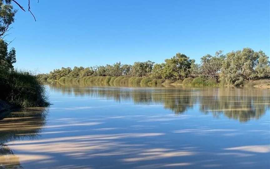 Dingo Trax, Marree, SA