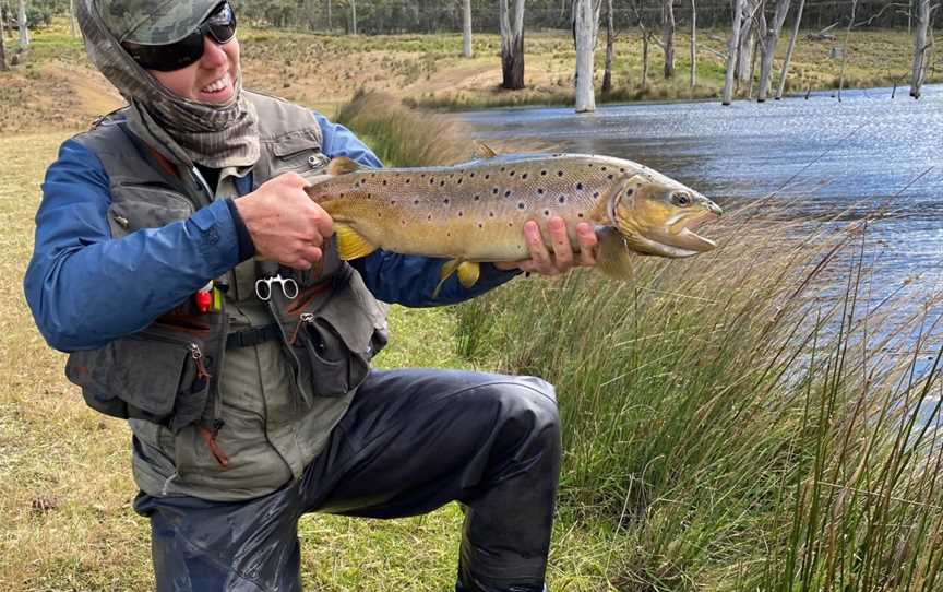 Trout Tales Tasmania, Hobart, TAS