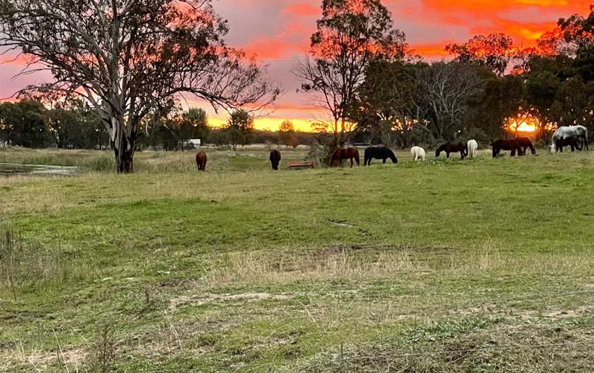 Mudgee Horse Riding Centre, Linburn, NSW