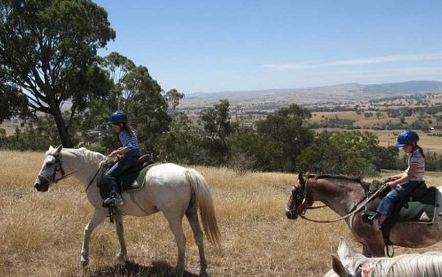 Adventure Victoria - Private Day Tours, Mansfield, VIC