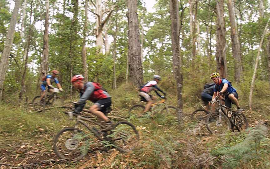 Otway Eco Tours, Forrest, VIC