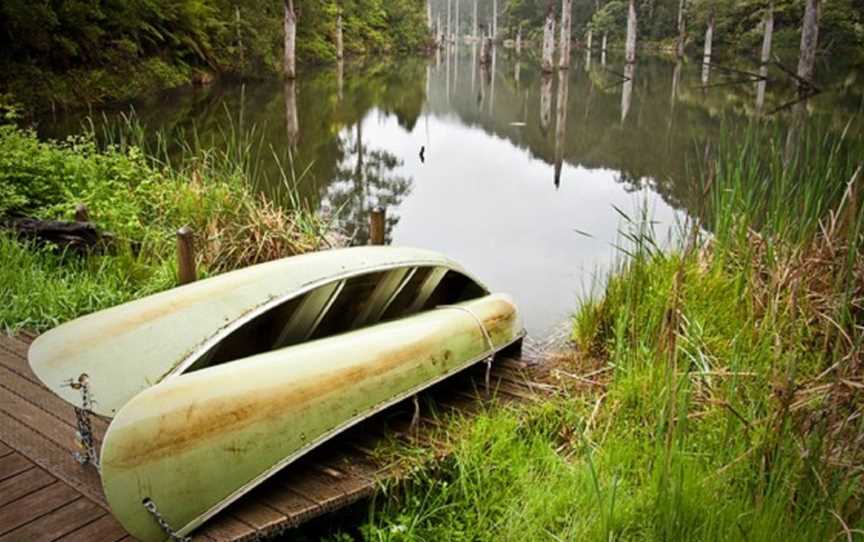 Otway Eco Tours, Forrest, VIC