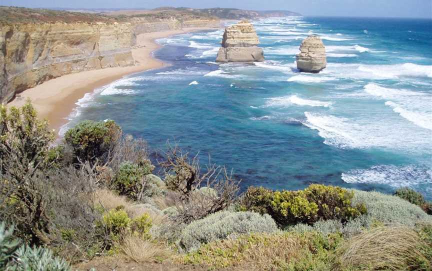 Otway Eco Tours, Forrest, VIC