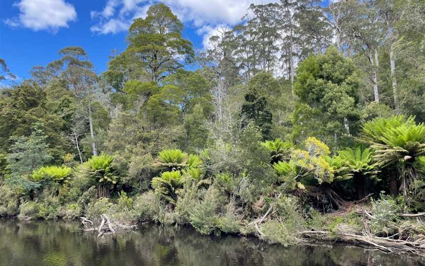 Arthur River Cruises, Arthur River, TAS