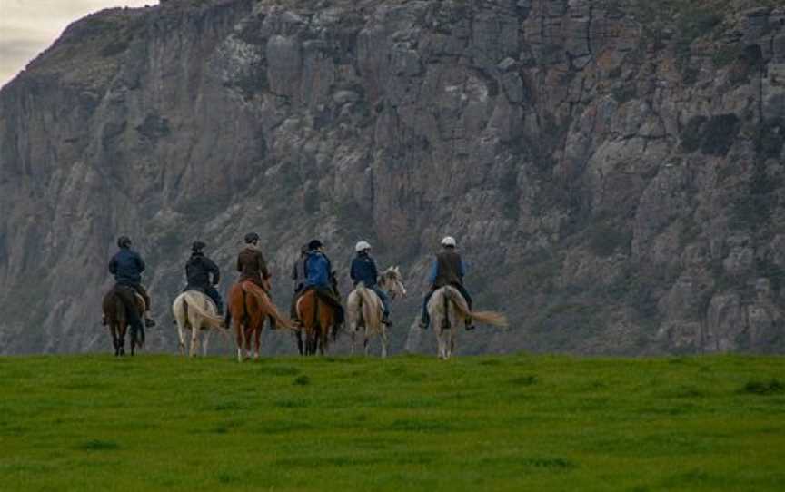 Australian Horse Adventures, Carrick, TAS