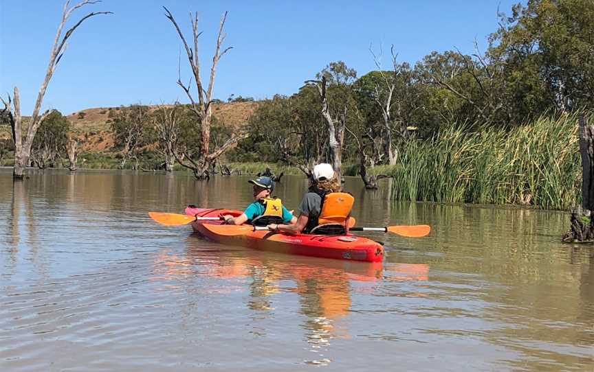 Canoe Adventures - Riverland, Berri, SA