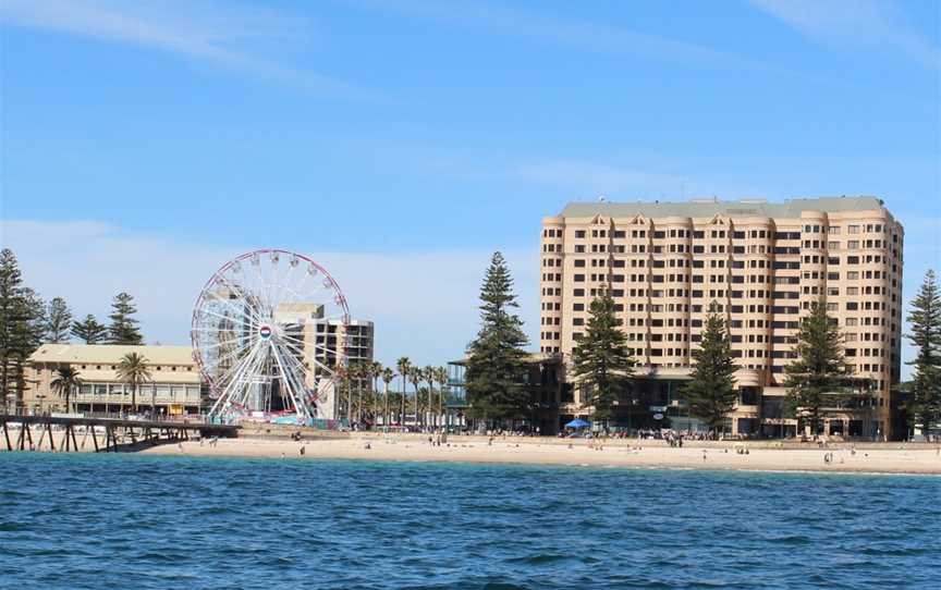 Adelaide Ocean Safari, Glenelg, SA