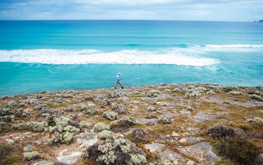 Australian Coastal Safaris, Port Lincoln, SA