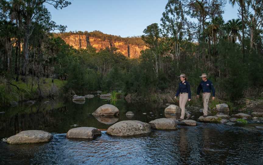 Australian Nature Guides, Carnarvon National Park, QLD