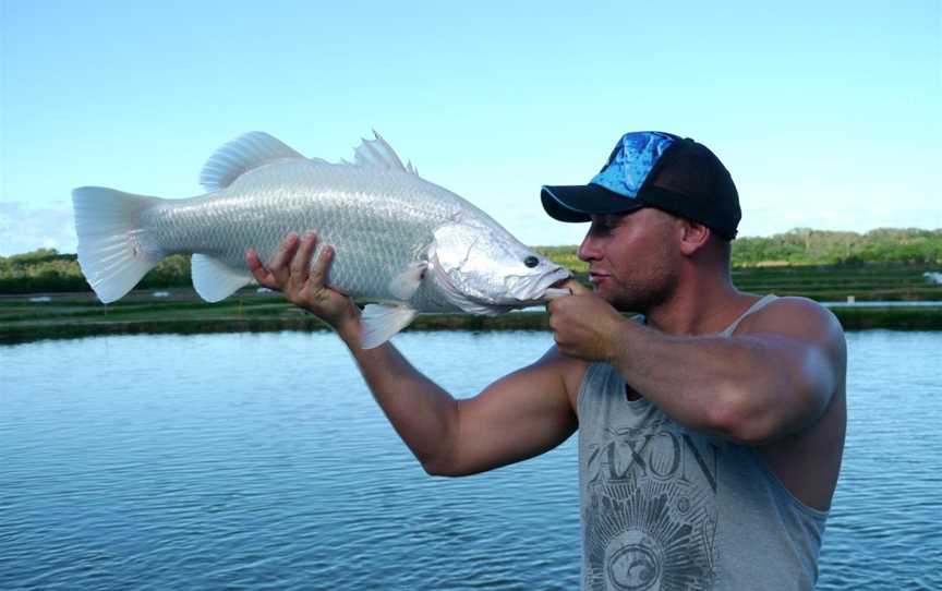 Hook-A-Barra, Wonga Beach, QLD