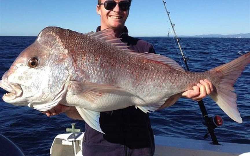 Avenger Gold Coast Fishing Charters, Main Beach, QLD