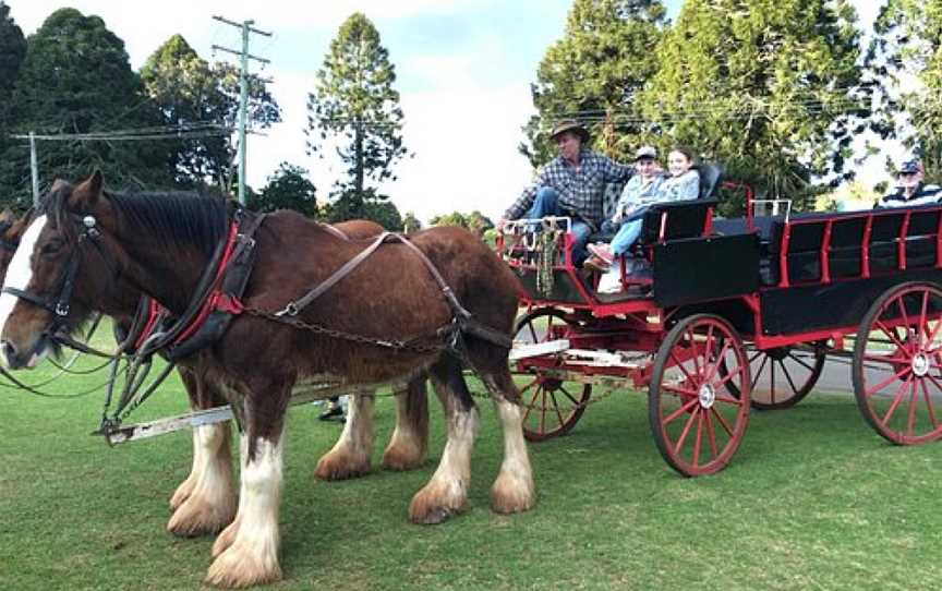 Bunya Mountains Horse Drawn Tours, Dalby, QLD