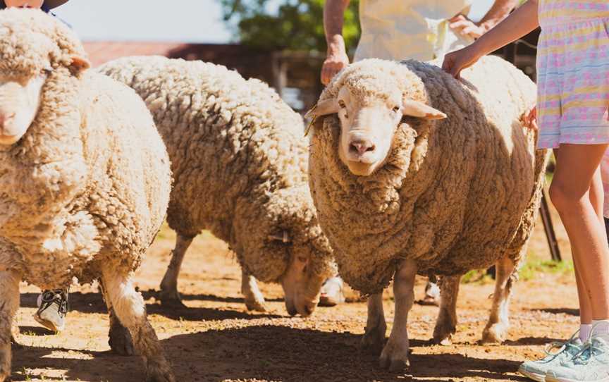 Barcaldine Tag Along Tours - Dunraven Station, Barcaldine, QLD