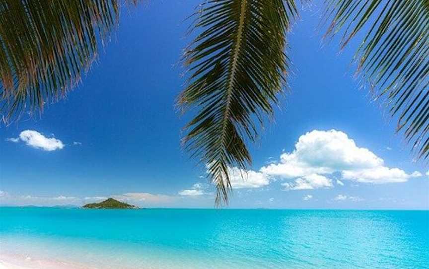 Reef N Beyond, Whitsunday Island, QLD