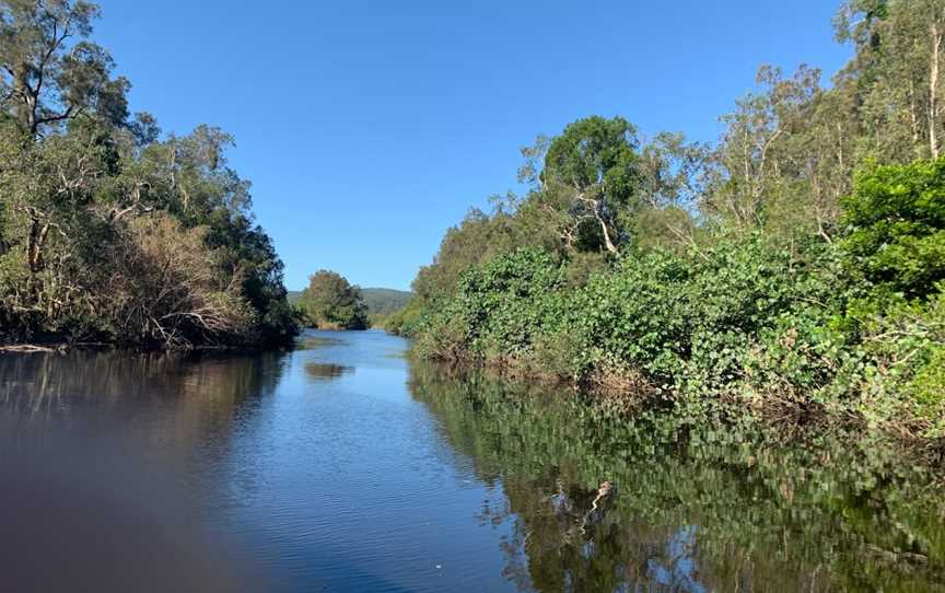 Everglades Eco Safaris, Boreen Point, QLD