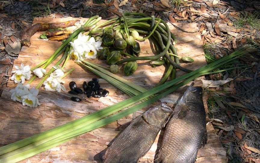 Ayal Aboriginal Tours Kakadu, Jabiru, NT