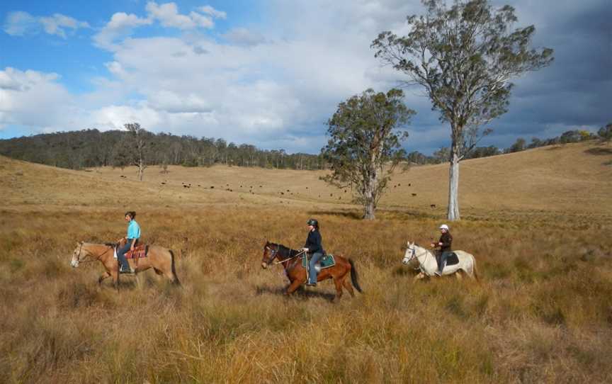 Chapman Valley Horse Riding, Howes Valley, NSW