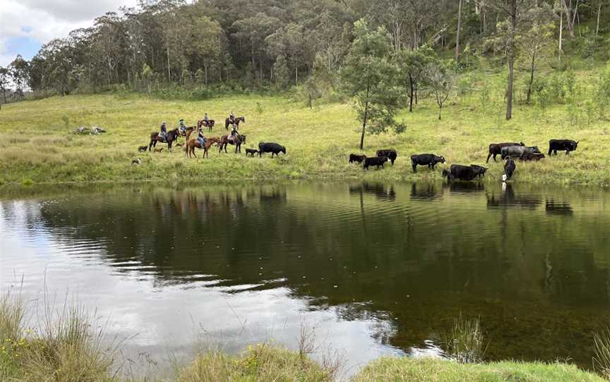 Chapman Valley Horse Riding, Howes Valley, NSW