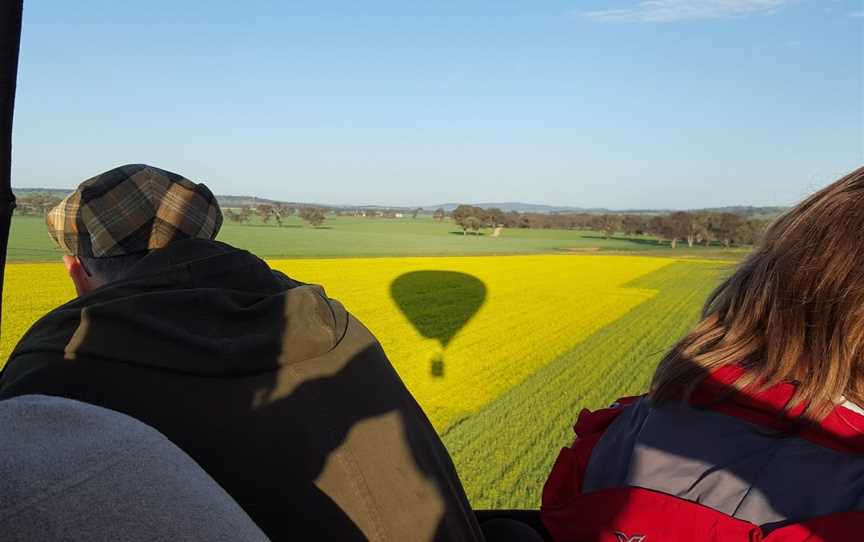 Balloon Joy Flights, Canowindra, NSW