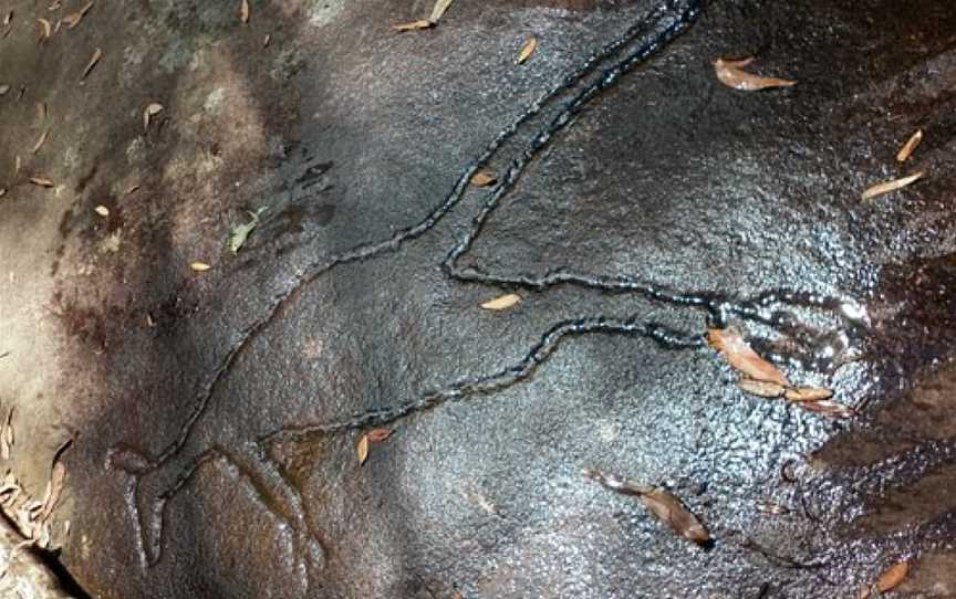 Aboriginal Blue Mountains Walkabout, Faulconbridge, NSW