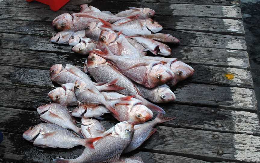 Batemans Bay Fishing, Batemans Bay, NSW