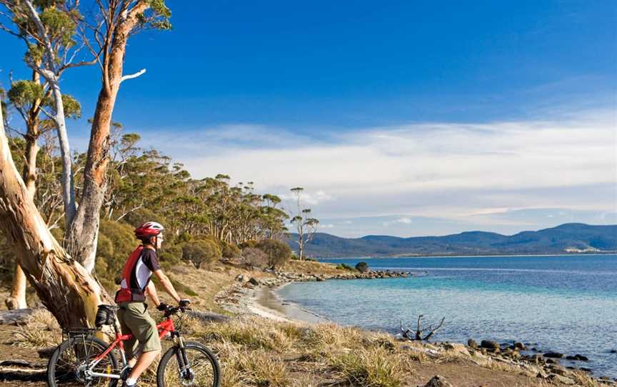 Australian Cycle Tours, Sydney, NSW