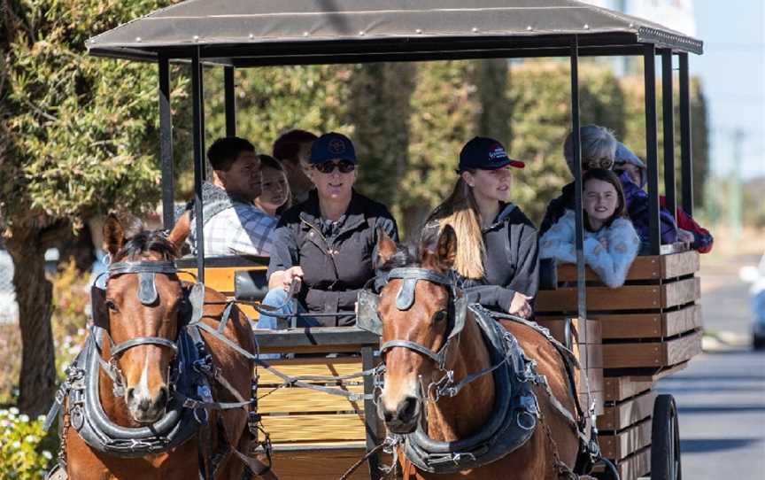 carriage rides, Mudgee, NSW