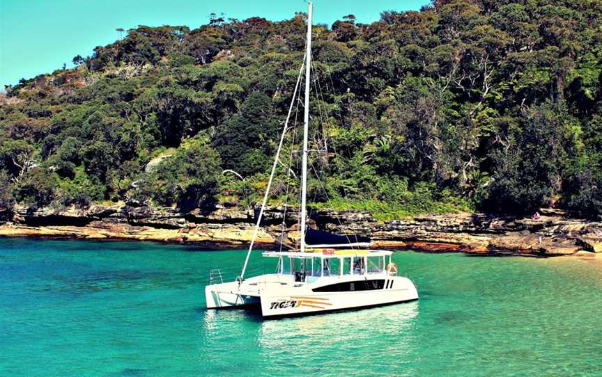 Tiger Catamarans, Coogee, NSW