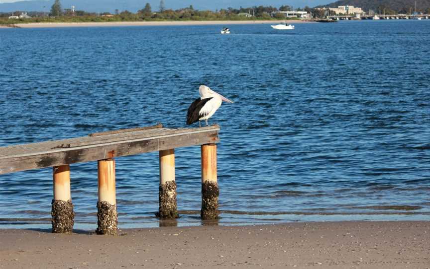 Lake Macquarie Kayak Adventures, Swansea Heads, NSW