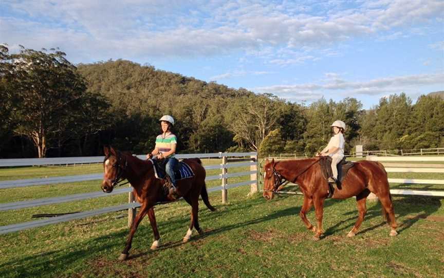 Kangaroo Valley Horses, Tours in Budgong