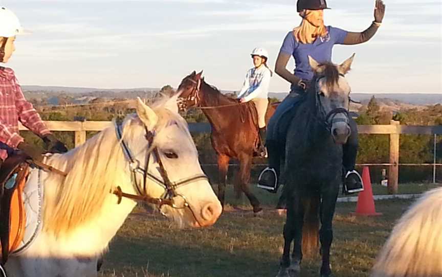 Hills and Hollows Horse Riding School, The Oaks, NSW