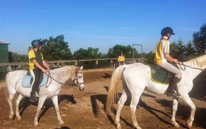 Hills and Hollows Horse Riding School, The Oaks, NSW