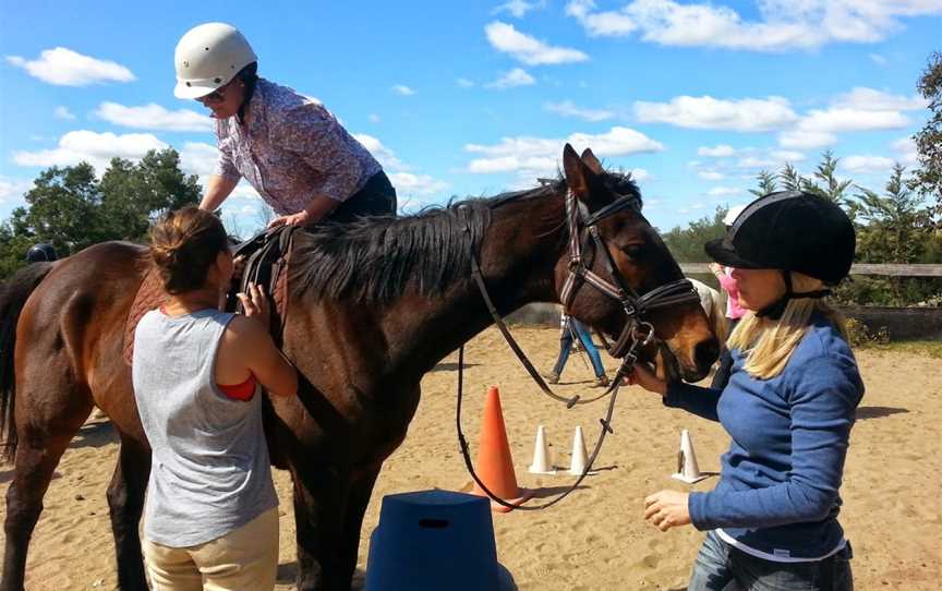 Hills and Hollows Horse Riding School, The Oaks, NSW