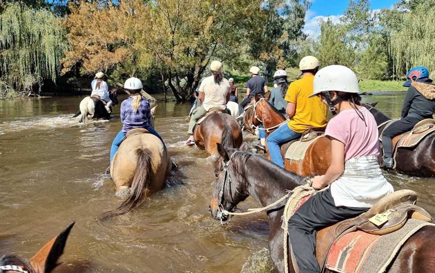 WADE HORSES BINGARA, Bingara, NSW