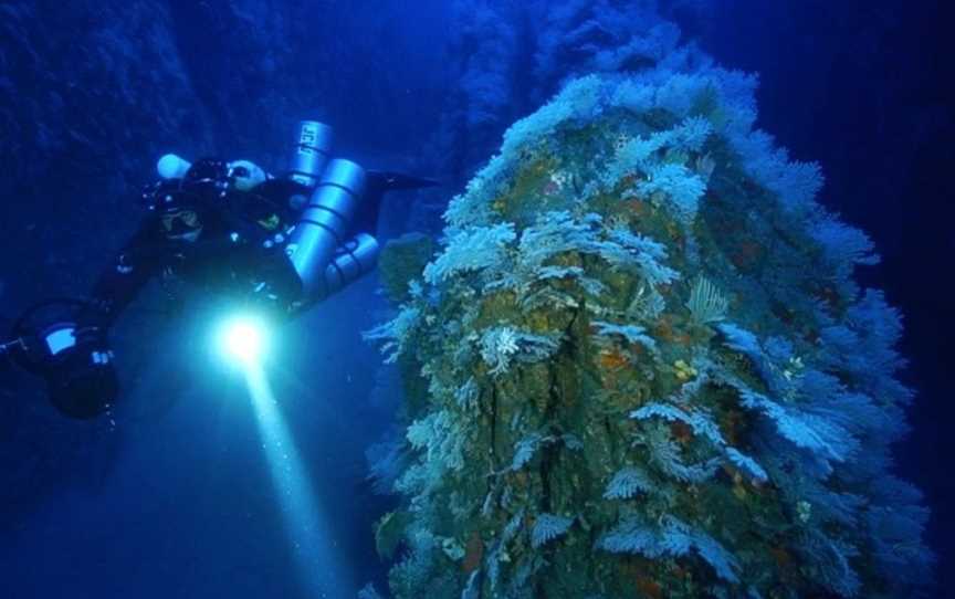 Sydney Dive Charters, Rose Bay, NSW