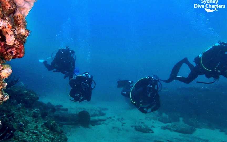 Sydney Dive Charters, Rose Bay, NSW