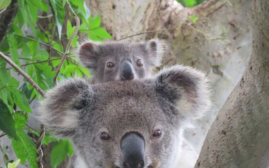 Vision Walks Eco Tours, Byron Bay, NSW