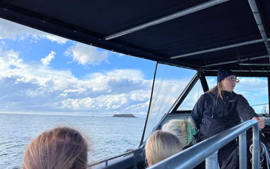 Watersports Guru, Fingal Head, NSW