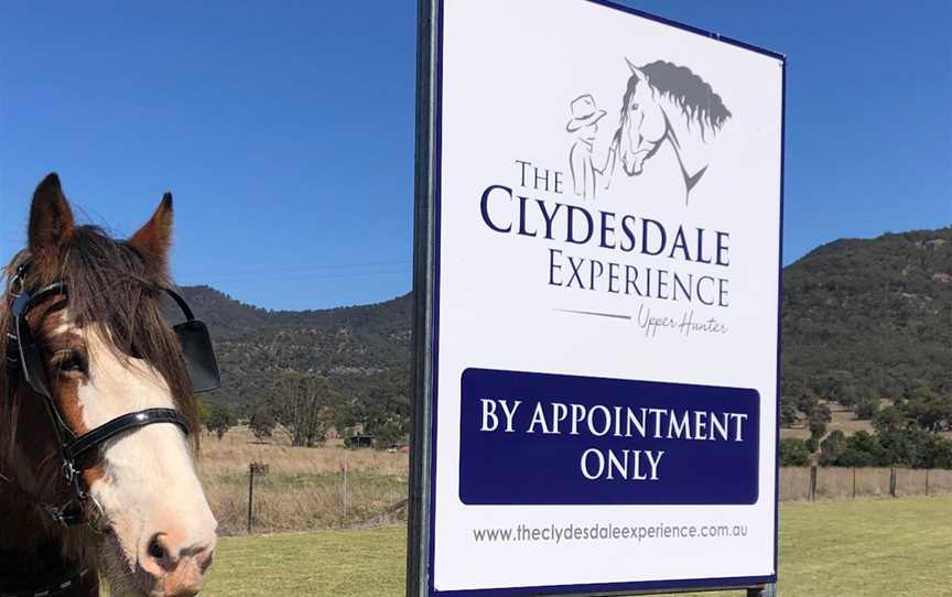 The Clydesdale Experience, Doyles Creek, NSW