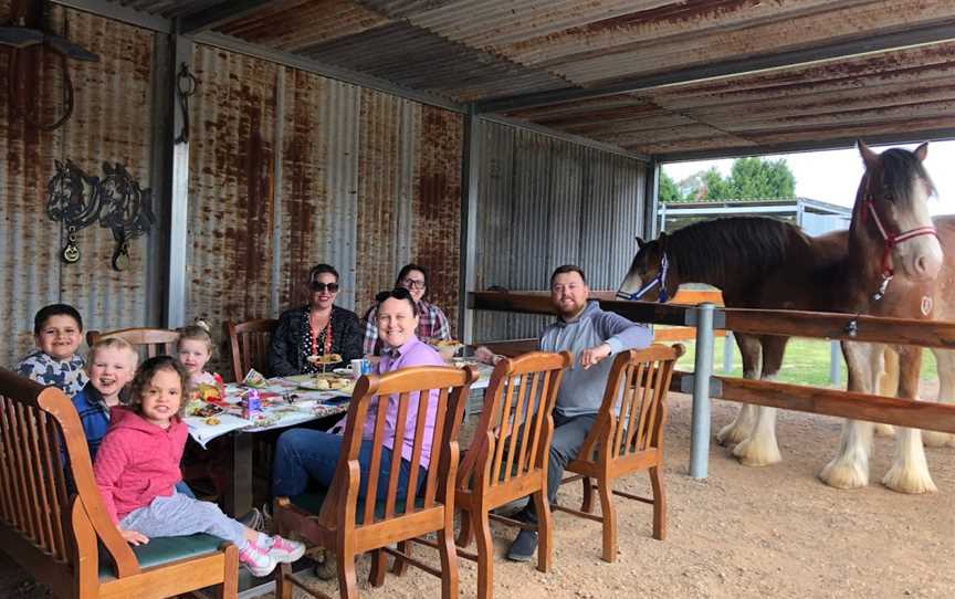 The Clydesdale Experience, Doyles Creek, NSW