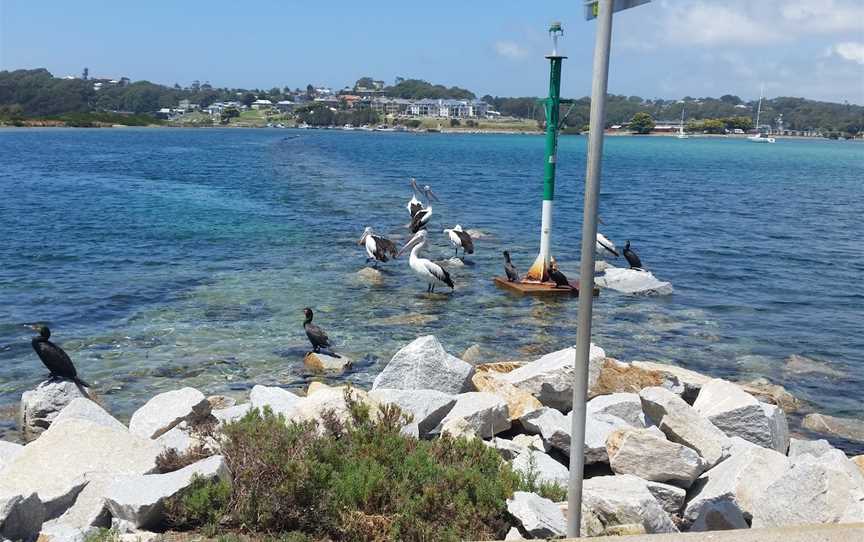 Out of the Blue Oysters, North Narooma, NSW