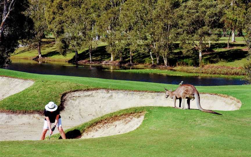 Golf & Tours Pty Ltd, Crows Nest, NSW