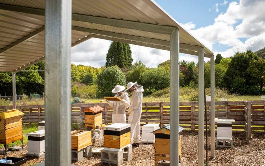 Bowral Beekeeping, Bowral, NSW