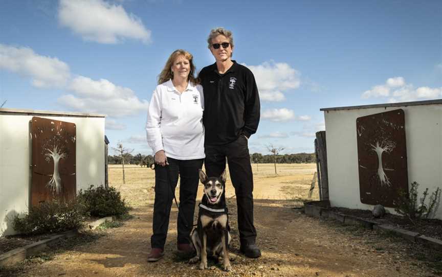 Truffle Hunting, Oallen, NSW