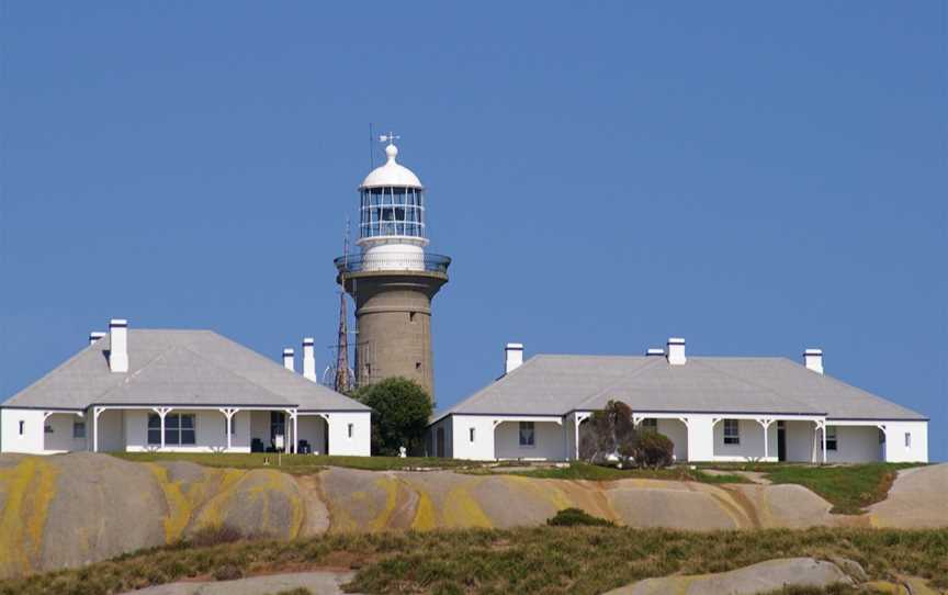 Montague Island Tours, Narooma, NSW