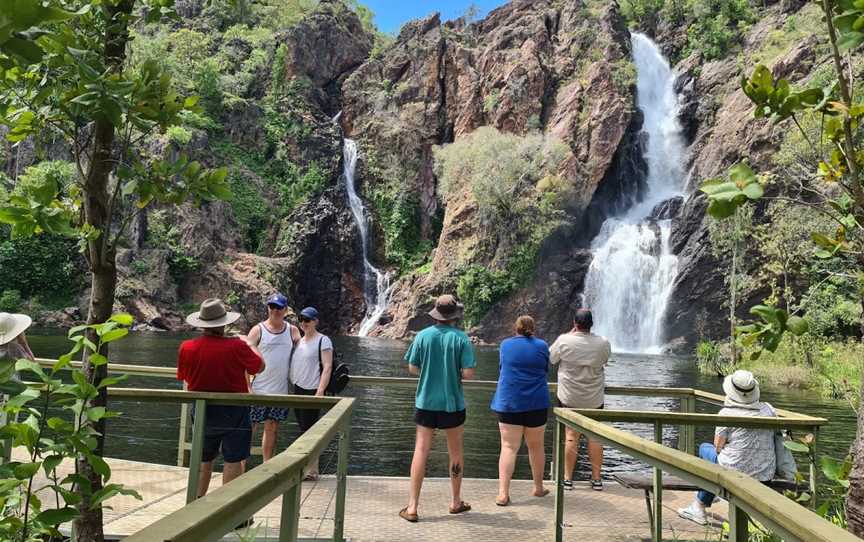 BettyBird Tour Guide, Berrimah, NT