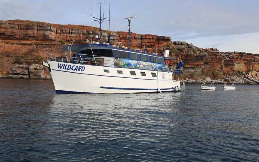 Wildcard Luxury Cruises, Nhulunbuy, NT