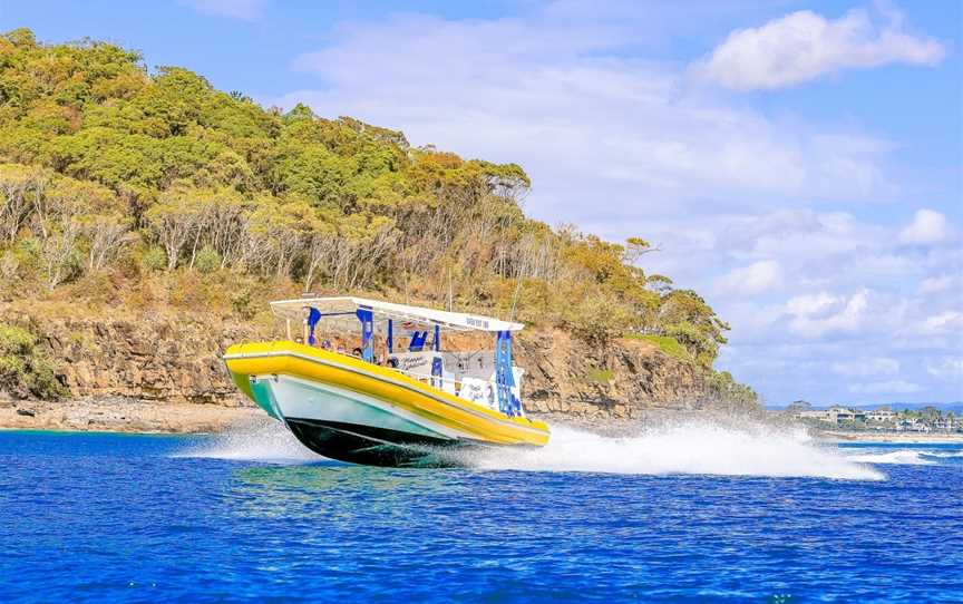 Noosa Wave Whale & Dolphin Adventures, Noosaville, QLD