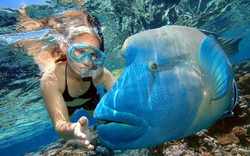 Reef Magic, Cairns City, QLD